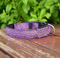 LED Dog Safety Collar – Adjustable Nylon Light-Up Night Collar