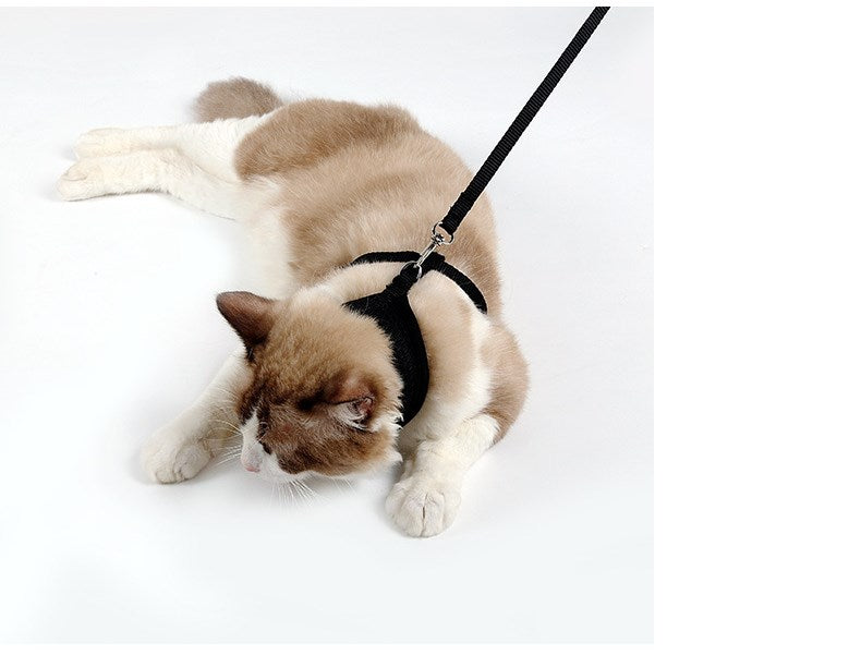 Anti-Slip cat harness