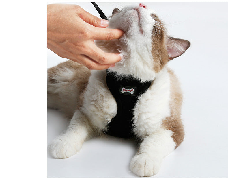 Anti-Slip cat harness