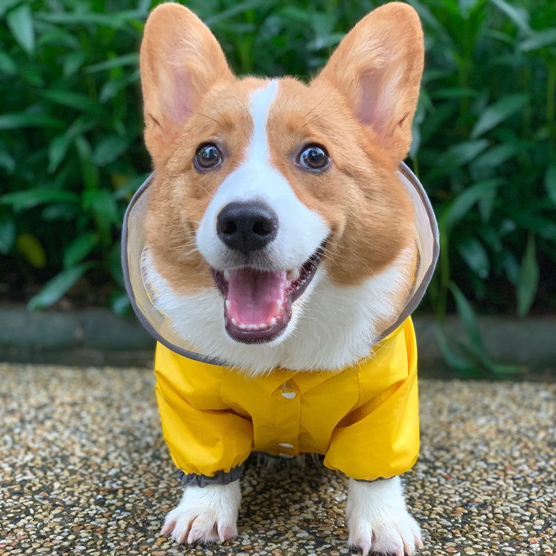Waterproof dog raincoat with transparent hood and reflective strips