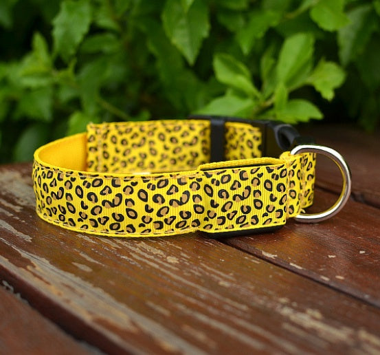 LED Dog Safety Collar – Adjustable Nylon Light-Up Night Collar