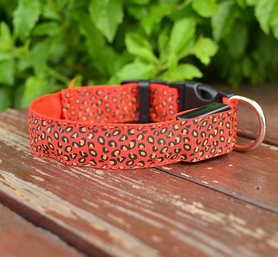 LED Dog Safety Collar – Adjustable Nylon Light-Up Night Collar