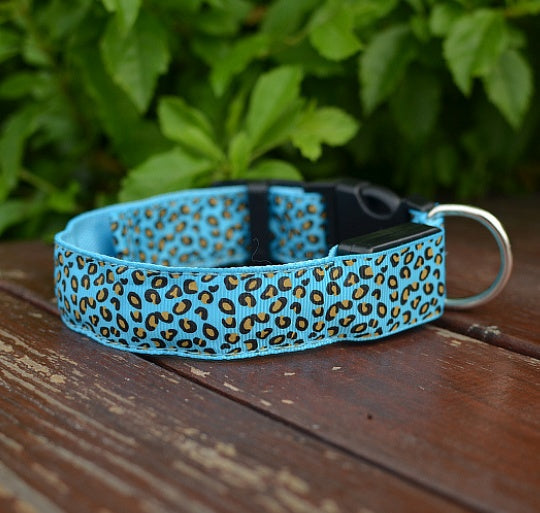 LED Dog Safety Collar – Adjustable Nylon Light-Up Night Collar