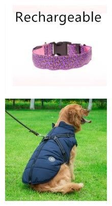 LED Dog Safety Collar – Adjustable Nylon Light-Up Night Collar