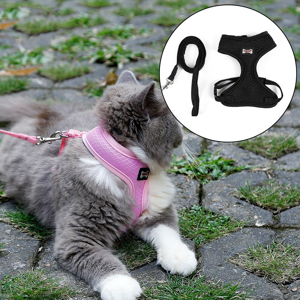 Anti-Slip cat harness