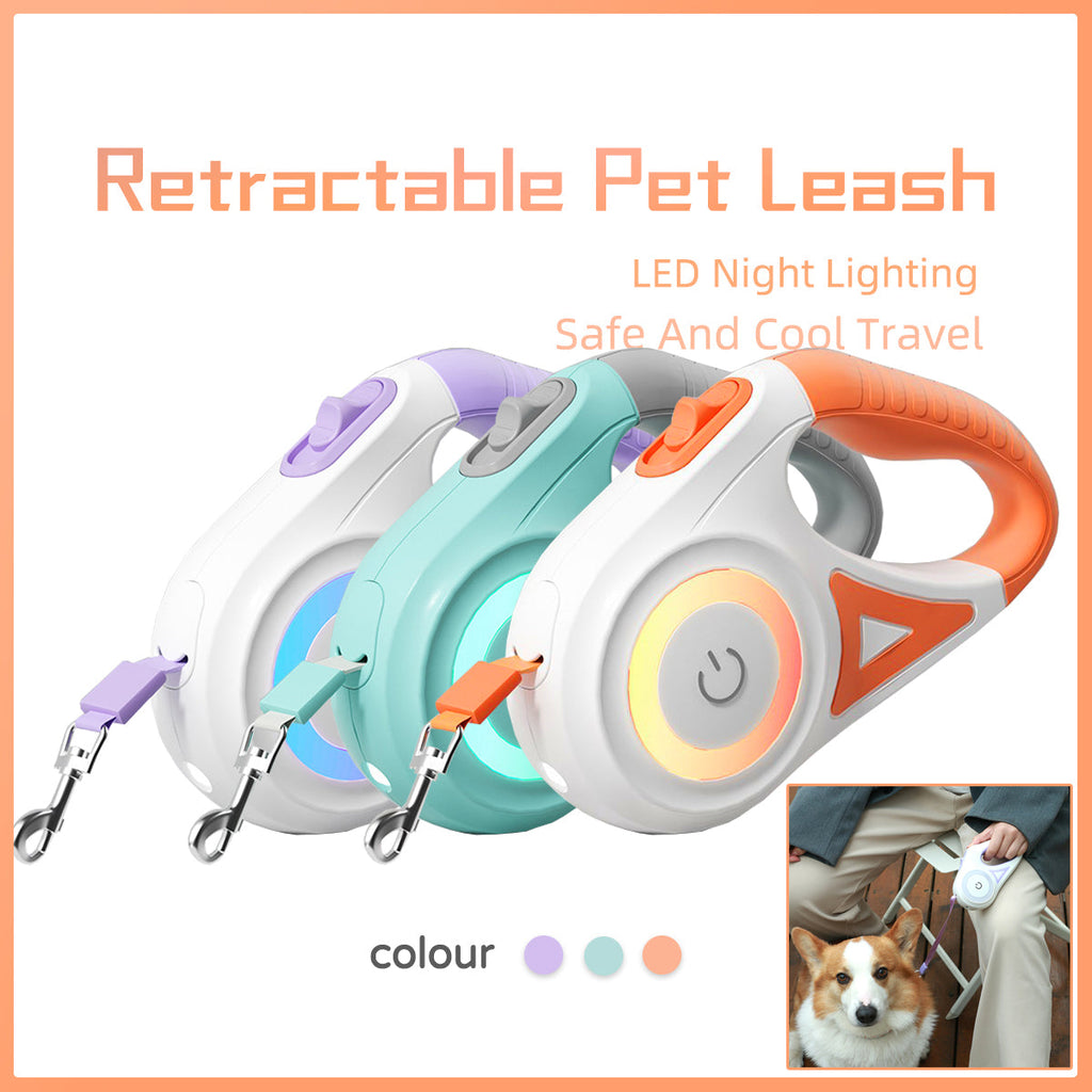 Retractable Dog Lead with Collar | Automatic Extendable Dog Leash for Small, Medium & Large Dogs
