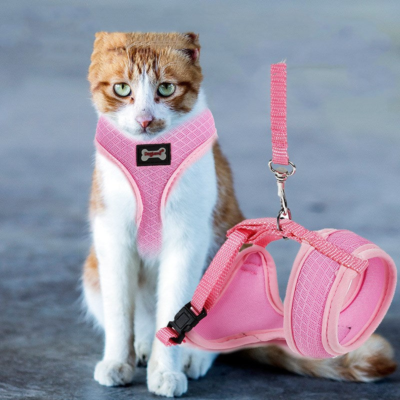 Anti-Slip cat harness