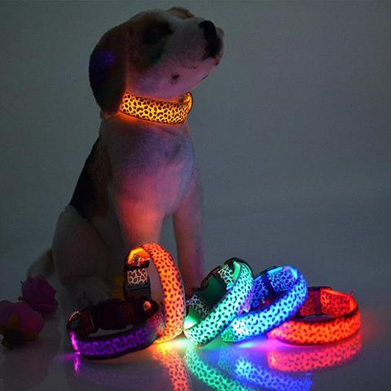 LED Dog Safety Collar – Adjustable Nylon Light-Up Night Collar