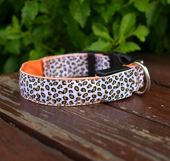 LED Dog Safety Collar – Adjustable Nylon Light-Up Night Collar