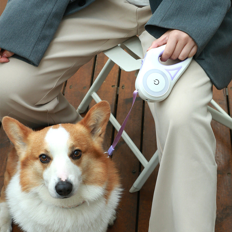 Retractable Dog Lead with Collar | Automatic Extendable Dog Leash for Small, Medium & Large Dogs
