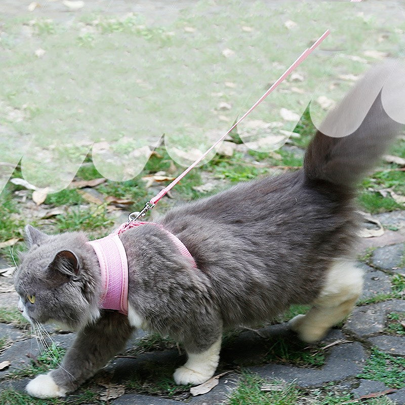 Anti-Slip cat harness