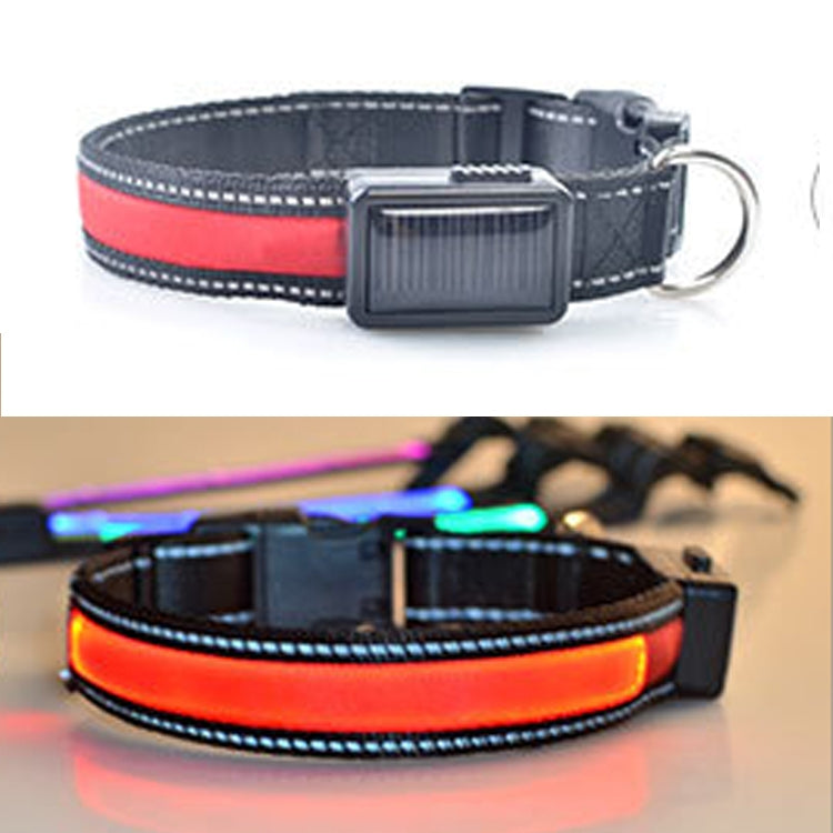 Solar & USB Rechargeable LED Dog Collar – Size S (35–40cm Neck)
