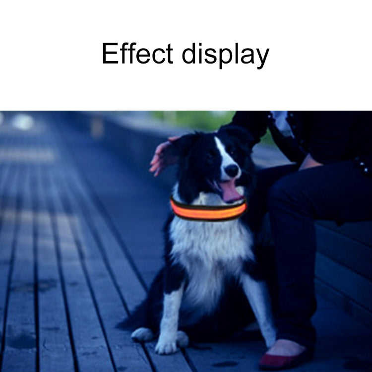 Solar & USB Rechargeable LED Dog Collar – Size S (35–40cm Neck)
