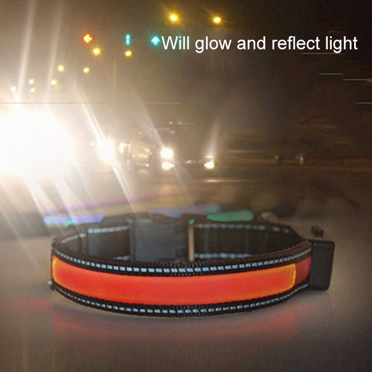 Solar & USB Rechargeable LED Dog Collar – Size S (35–40cm Neck)