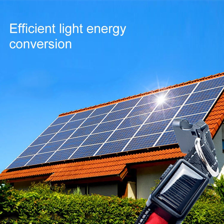 Solar & USB Rechargeable LED Dog Collar – Size S (35–40cm Neck)