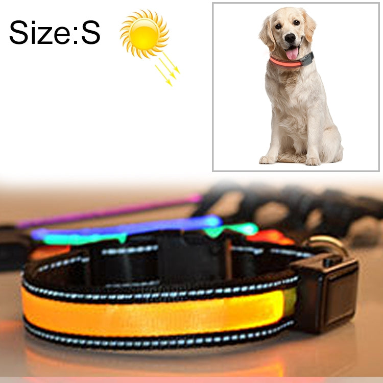 Solar & USB Rechargeable LED Dog Collar – Size S (35–40cm Neck)