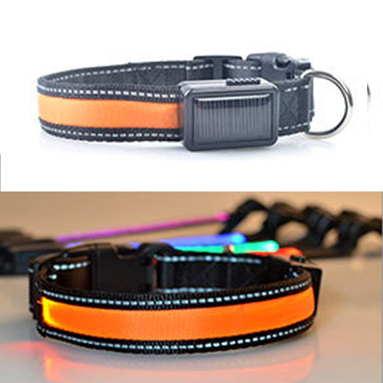 Solar & USB Rechargeable LED Dog Collar – Size L (50–60cm Neck)