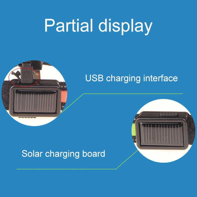 Solar & USB Rechargeable LED Dog Collar – Size L (50–60cm Neck)