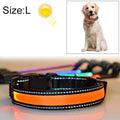 Solar & USB Rechargeable LED Dog Collar – Size L (50–60cm Neck)