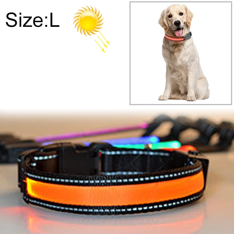 Solar & USB Rechargeable LED Dog Collar – Size L (50–60cm Neck)
