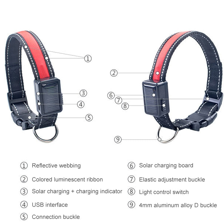 Solar & USB Rechargeable LED Dog Collar – Size L (50–60cm Neck)