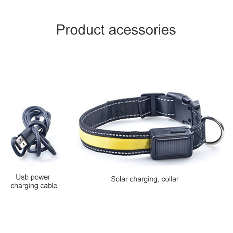 Solar & USB Rechargeable LED Dog Collar – Size L (50–60cm Neck)