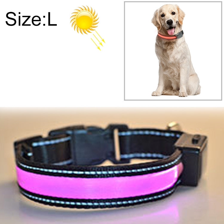 Solar & USB Rechargeable LED Dog Collar – Size L (50–60cm Neck)