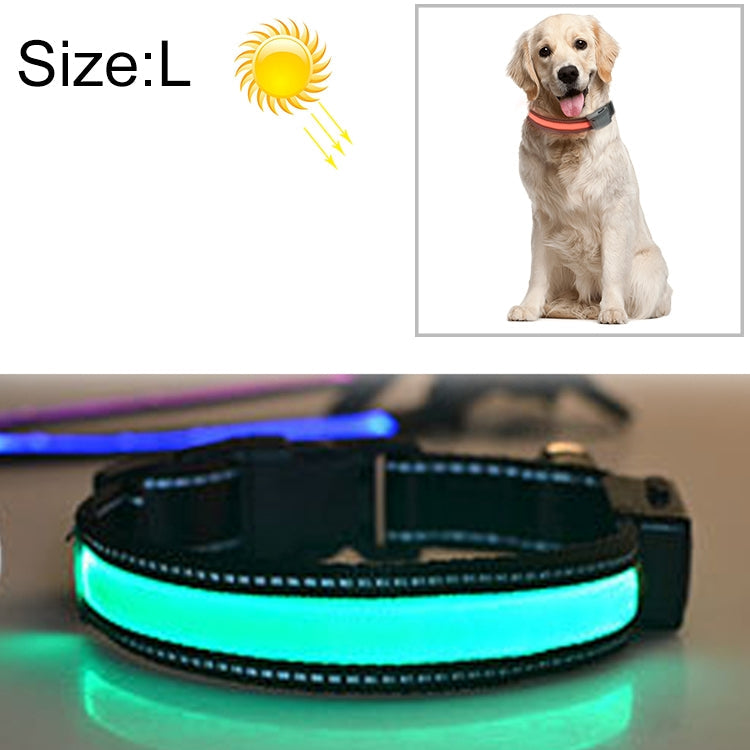 Solar & USB Rechargeable LED Dog Collar – Size L (50–60cm Neck)