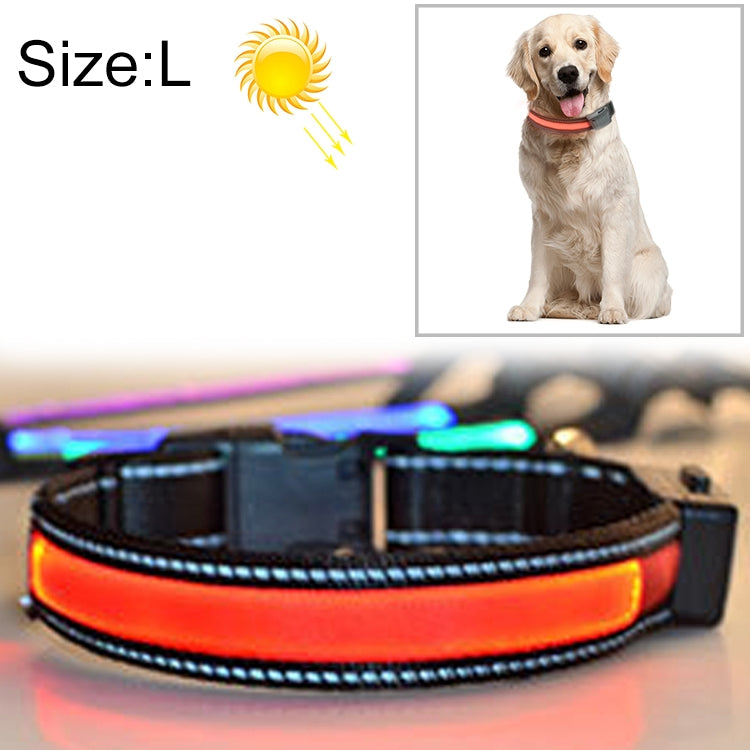 Solar & USB Rechargeable LED Dog Collar – Size L (50–60cm Neck)