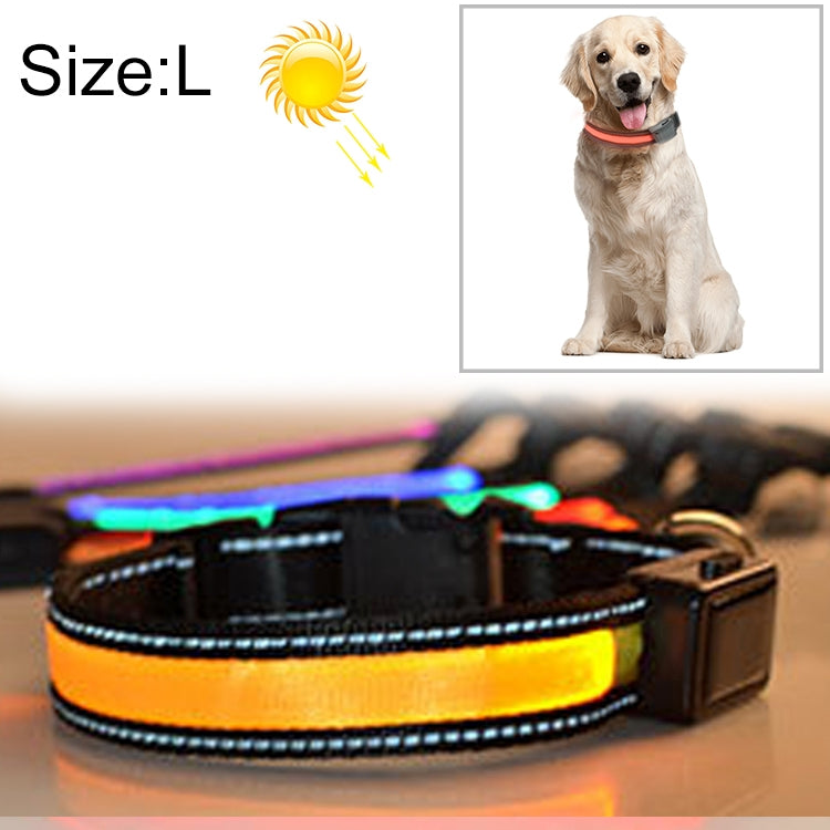Solar & USB Rechargeable LED Dog Collar – Size L (50–60cm Neck)