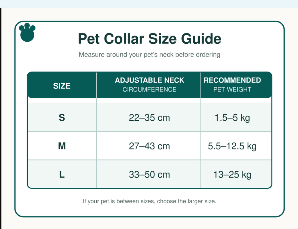 Retractable Dog Lead with Collar | Automatic Extendable Dog Leash for Small, Medium & Large Dogs